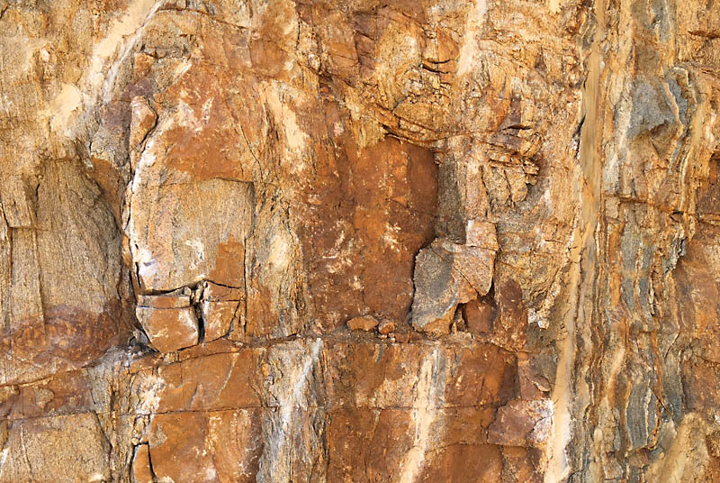 A close up of the rock in the cut for the house. There is lots of mineral staining and — amazingly — tiny roots as far as nine feet below the surface.