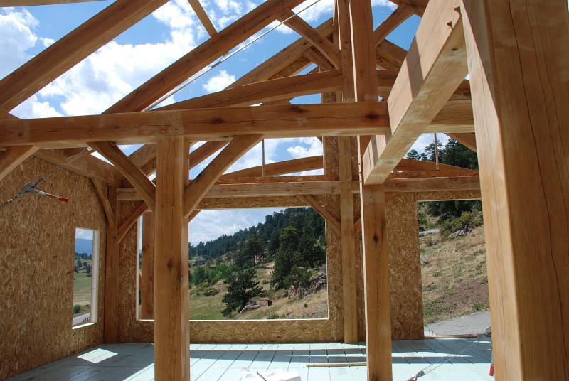 The SIPs are held to the timber frame with long screws that go through the SIP and into the timbers.