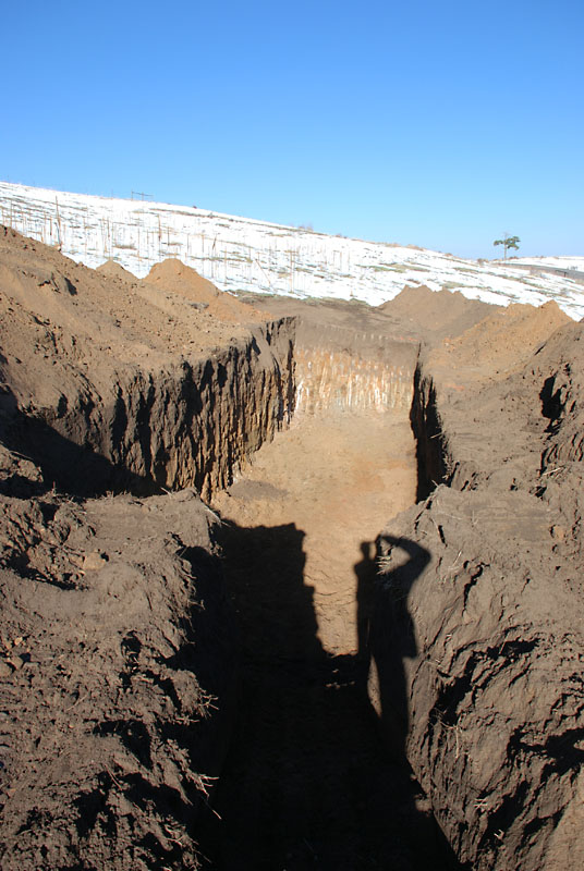 This is the trench for the septic system leach field. The material is very clean sand that has washed down from the rocks over the eons.