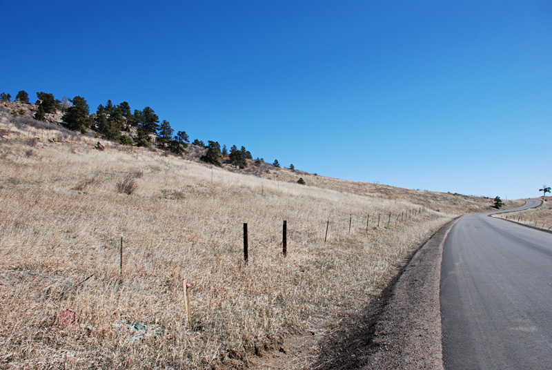 This view looks east down Douglas Mountain Drive with our property line on the left along the road.