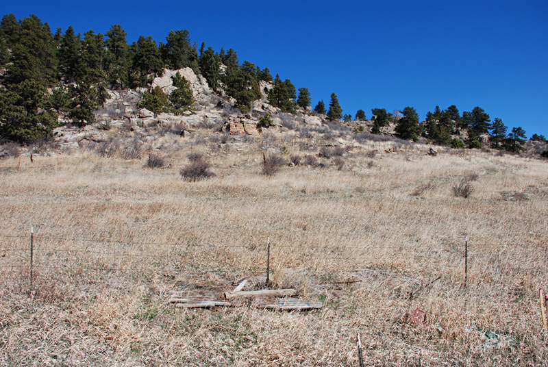 A view of a small section of our lot while standing on the road. We're looking north here.