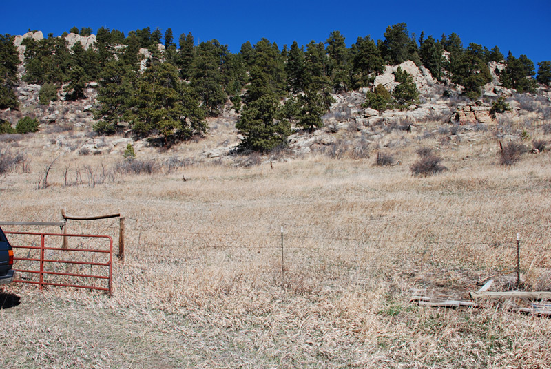 Another view to the north. The elevation here is 8,200'. That's about the upper limit for rattlesnakes, but I saw a 3½' specimen on the road at the end of April.