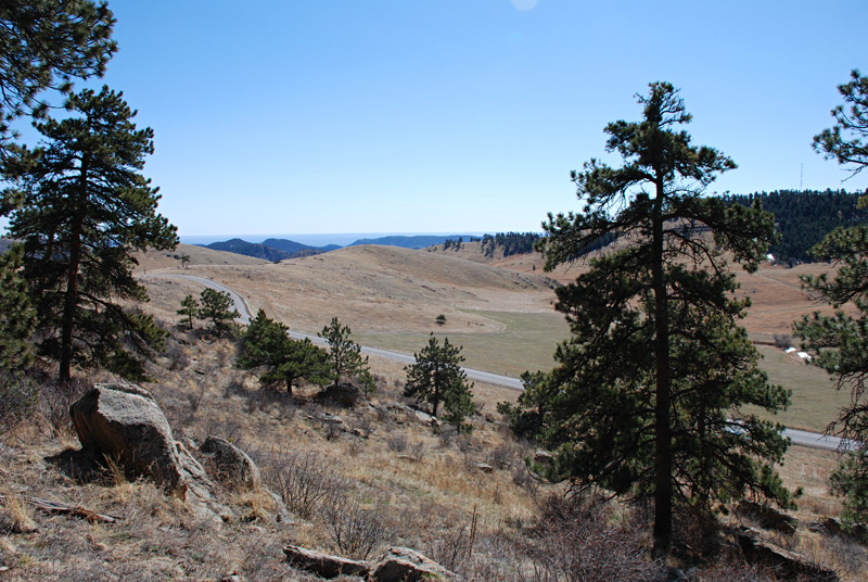 From the north property line looking to the southeast.