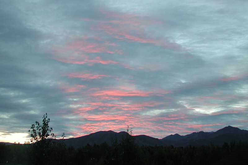 Stratocumulus illuminated by the sunrise over the Chugach range.