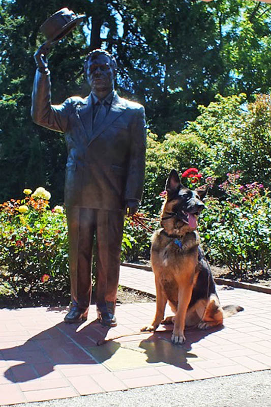 <h3>Piper</h3>Piper sits with a quiet stranger in the Rose Garden in Portland.