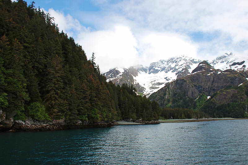 We followed several Orcas into this bay. They like to feed on fish near the mouth of a stream that empties into the bay.