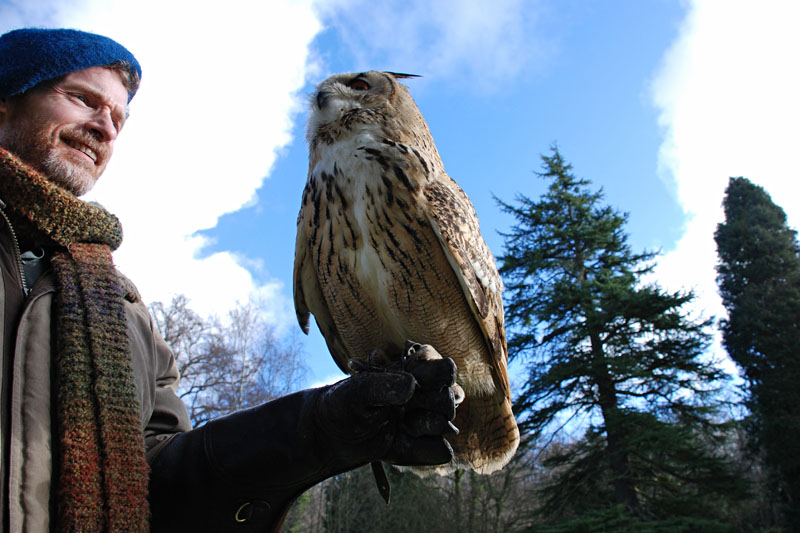 <h3>Falconry</h3>This is Shiloh, a Siberian/Turkmenian hybrid owl. She weighs about 5 pounds.