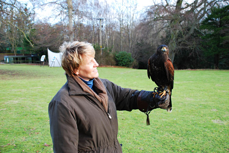 <h3>Falconry</h3>Here is Kris holding Roger, a Harris' Hawk. The Harris' Hawk is not native to the UK, but comes from South America and the southern United States. John Audubon discovered the hawks in Arizona in the 1860's and named them after his friend and companion Colonel Edward Harris.