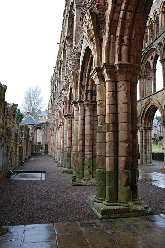 <h3>Jedburgh Abbey</h3>The columns supporting the structure are maginficent.