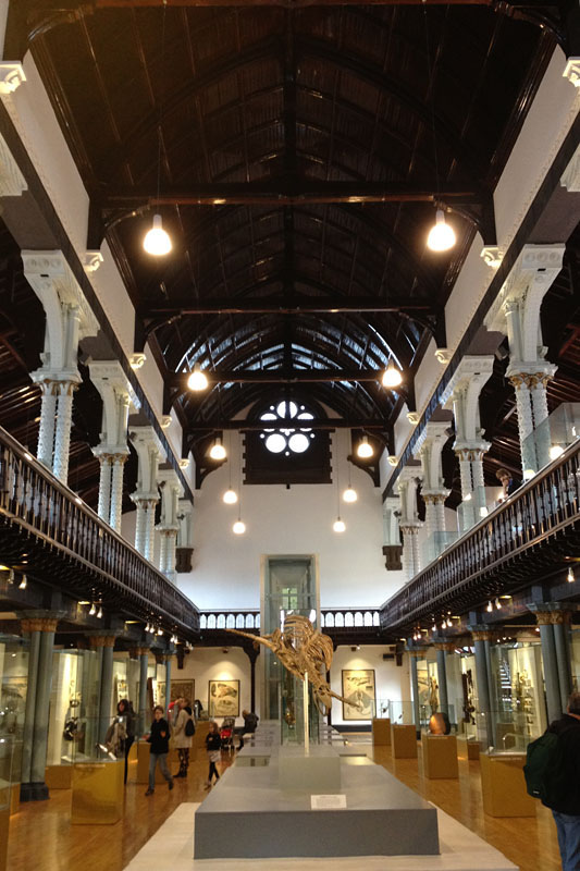 Here's a view of the barrel-vaulted ceiling inside the main building of the Hunterian Museum. The columns, floors and trusses are all iron.