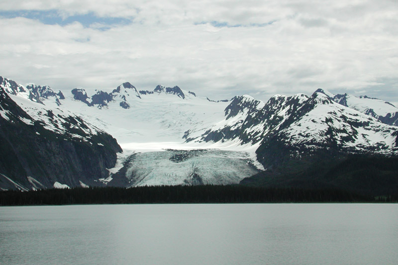 There are 26 glaciers along College Fiord (<a href='https://www.google.com/maps/place/College+Fiord,+Chugach+National+Forest,+Alaska+99686/@61.0788967,-147.8404521,9z/data=!4m2!3m1!1s0x56c831dc137aa767:0x847de3e52f538e95' target='_blank'>map</a>).