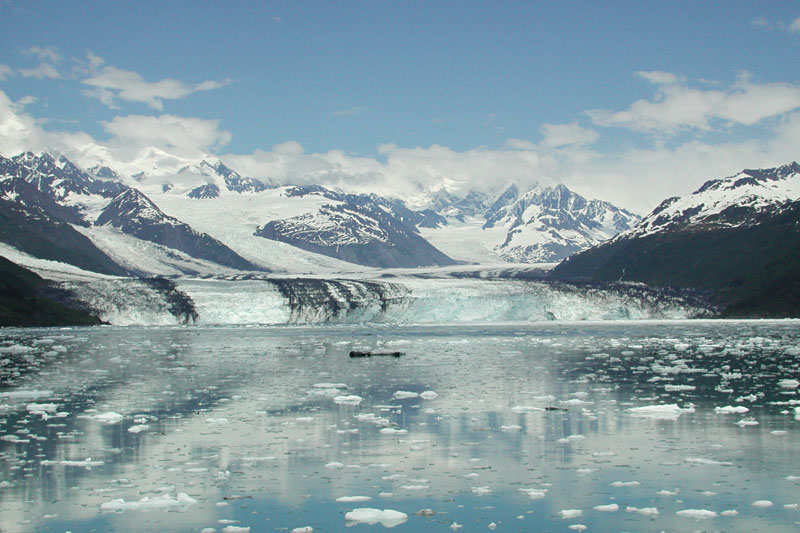 Here you can see several glaciers flowing into the fiord. All the ice in the foreground has calved off the glaciers.