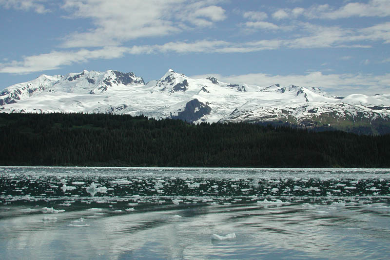 There are one or two seals out there on the ice.