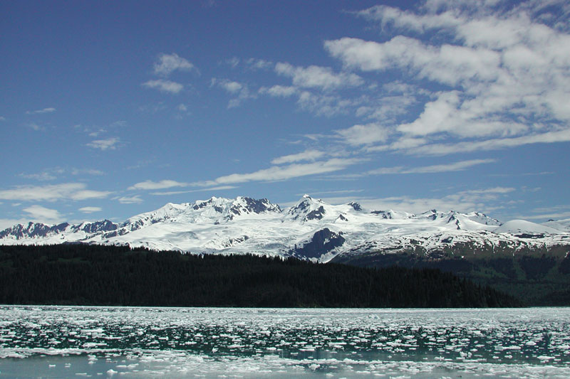 This is the east side of College Fiord.