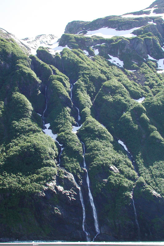 Deeply eroded cliffs funnel water to the fiord.